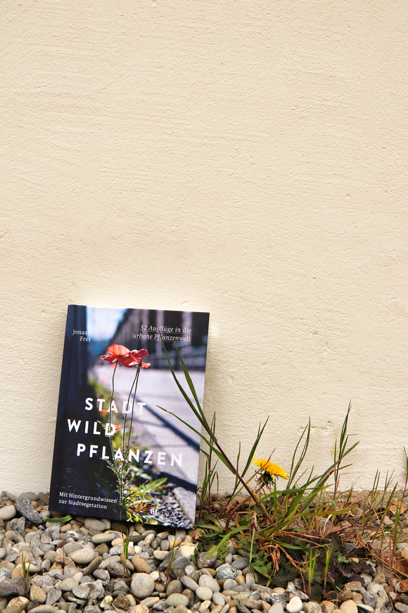 Naturbuch vor einer Wand