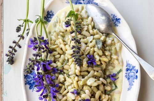 Kochbuch-Präsentation «Dahlienchips & Berberitzenreis»