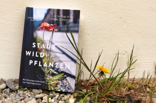 Stadtspaziergang mit Jonas Frei