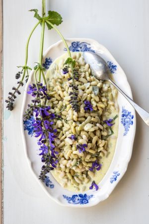 Kochbuch-Präsentation «Dahlienchips & Berberitzenreis»