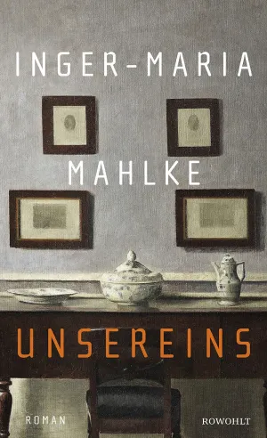 Buchcover Inger-Maria Mahlke, Unsereins