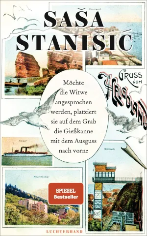 Buchcover von Sasa, Stanisic, Möchte die Witwe